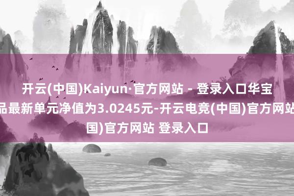 开云(中国)Kaiyun·官方网站 - 登录入口华宝宝康花费品最新单元净值为3.0245元-开云电竞(中国)官方网站 登录入口