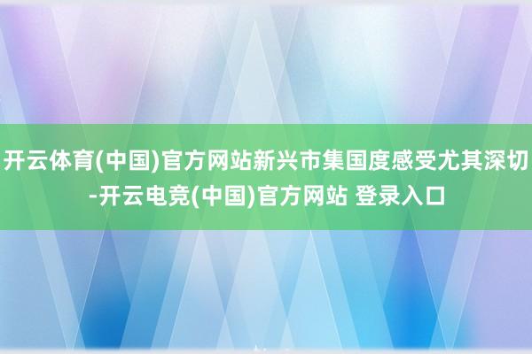 开云体育(中国)官方网站新兴市集国度感受尤其深切-开云电竞(中国)官方网站 登录入口