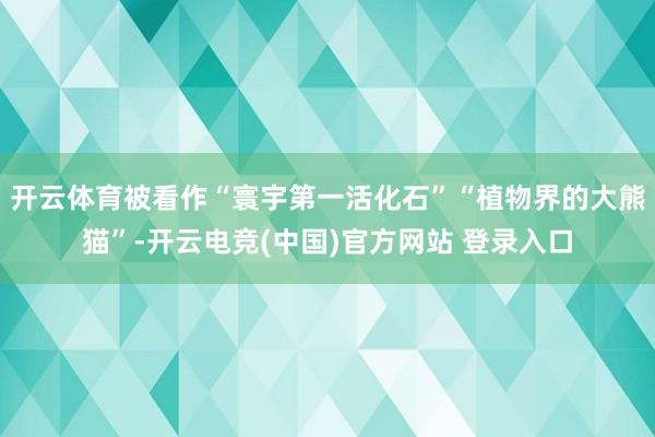开云体育被看作“寰宇第一活化石”“植物界的大熊猫”-开云电竞(中国)官方网站 登录入口