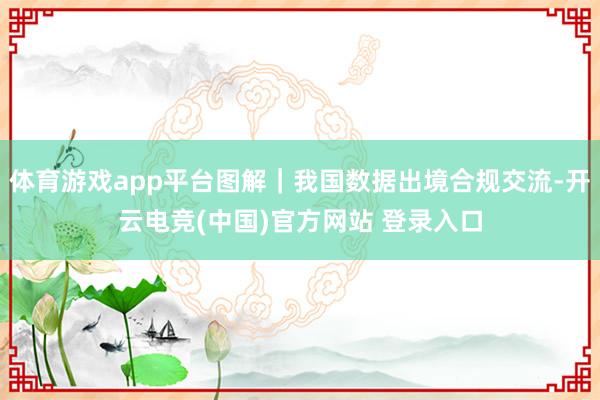 体育游戏app平台图解｜我国数据出境合规交流-开云电竞(中国)官方网站 登录入口