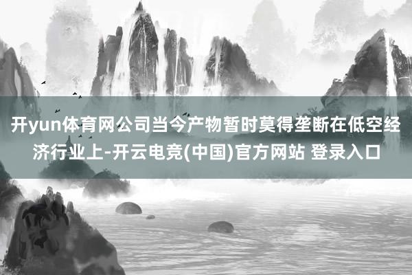 开yun体育网公司当今产物暂时莫得垄断在低空经济行业上-开云电竞(中国)官方网站 登录入口