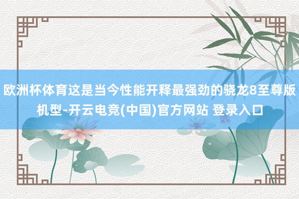 欧洲杯体育这是当今性能开释最强劲的骁龙8至尊版机型-开云电竞(中国)官方网站 登录入口