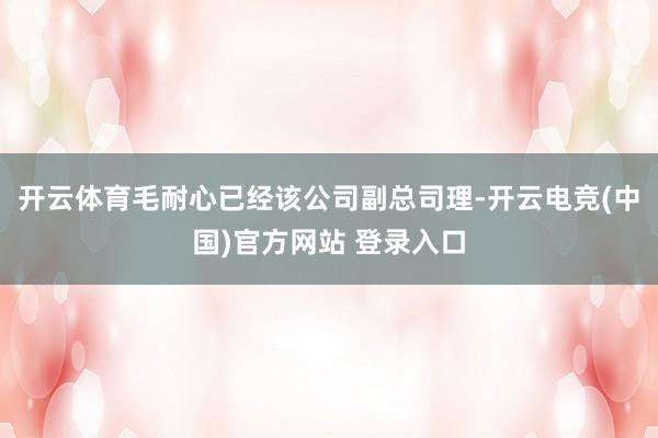 开云体育毛耐心已经该公司副总司理-开云电竞(中国)官方网站 登录入口