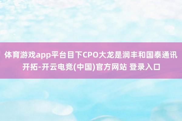 体育游戏app平台目下CPO大龙是润丰和国泰通讯开拓-开云电竞(中国)官方网站 登录入口
