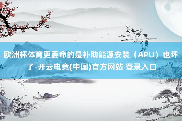 欧洲杯体育更要命的是补助能源安装（APU）也坏了-开云电竞(中国)官方网站 登录入口