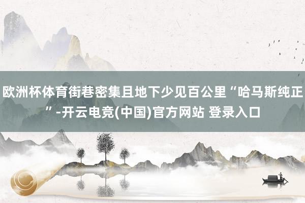欧洲杯体育街巷密集且地下少见百公里“哈马斯纯正”-开云电竞(中国)官方网站 登录入口