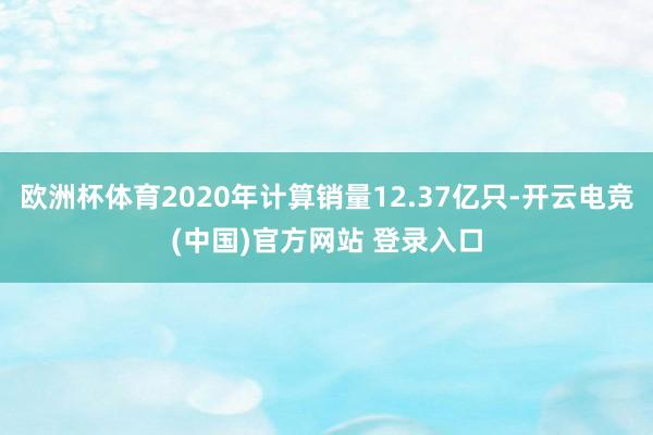 欧洲杯体育2020年计算销量12.37亿只-开云电竞(中国)官方网站 登录入口
