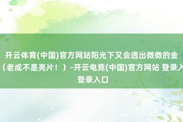 开云体育(中国)官方网站阳光下又会透出微微的金闪(老成不是亮片!)-开云电竞(中国)官方网站 登录入口