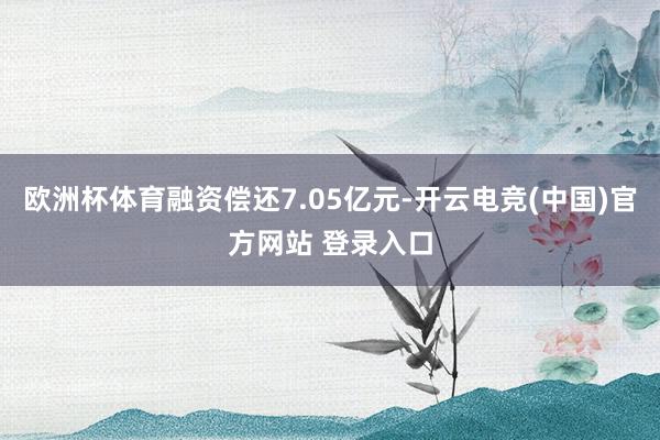 欧洲杯体育融资偿还7.05亿元-开云电竞(中国)官方网站 登录入口