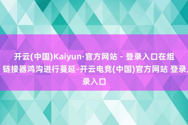开云(中国)Kaiyun·官方网站 - 登录入口在组件、链接器鸿沟进行蔓延-开云电竞(中国)官方网站 登录入口