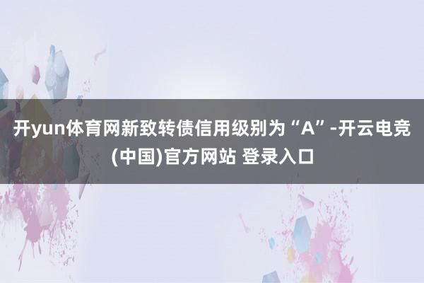 开yun体育网新致转债信用级别为“A”-开云电竞(中国)官方网站 登录入口