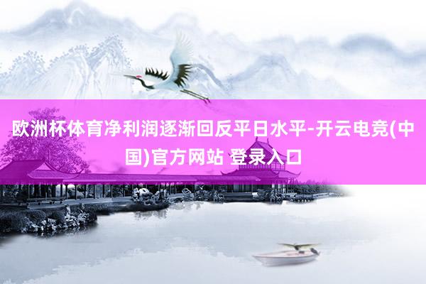 欧洲杯体育净利润逐渐回反平日水平-开云电竞(中国)官方网站 登录入口