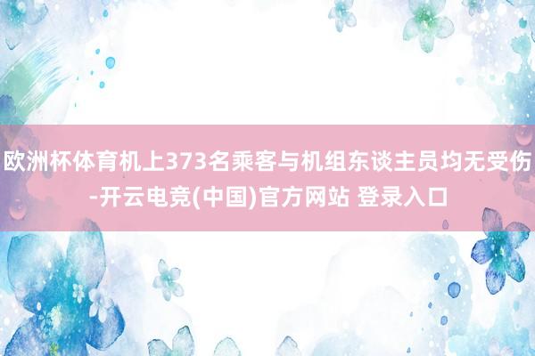 欧洲杯体育机上373名乘客与机组东谈主员均无受伤-开云电竞(中国)官方网站 登录入口