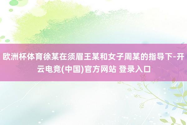 欧洲杯体育徐某在须眉王某和女子周某的指导下-开云电竞(中国)官方网站 登录入口
