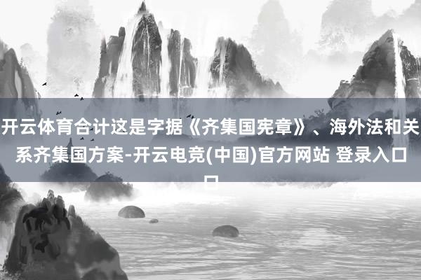开云体育合计这是字据《齐集国宪章》、海外法和关系齐集国方案-开云电竞(中国)官方网站 登录入口