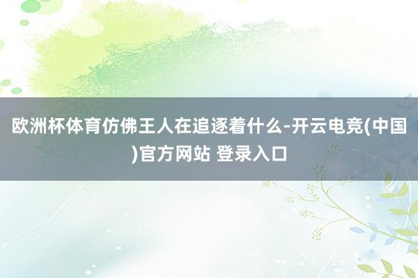 欧洲杯体育仿佛王人在追逐着什么-开云电竞(中国)官方网站 登录入口