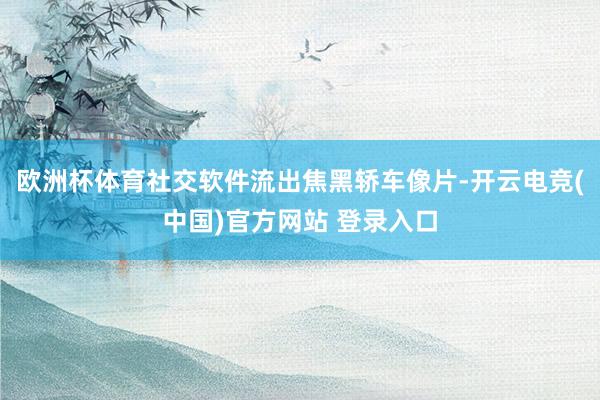 欧洲杯体育社交软件流出焦黑轿车像片-开云电竞(中国)官方网站 登录入口