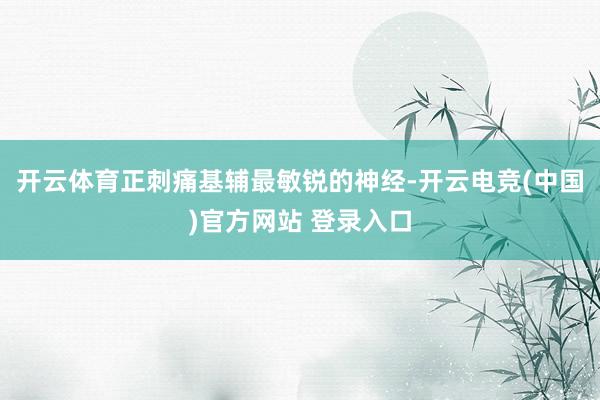 开云体育正刺痛基辅最敏锐的神经-开云电竞(中国)官方网站 登录入口
