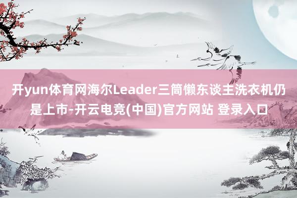 开yun体育网海尔Leader三筒懒东谈主洗衣机仍是上市-开云电竞(中国)官方网站 登录入口