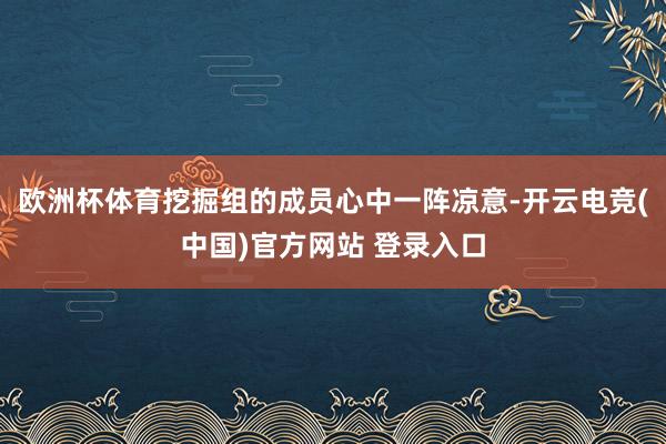 欧洲杯体育挖掘组的成员心中一阵凉意-开云电竞(中国)官方网站 登录入口