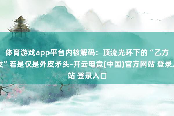 体育游戏app平台内核解码：顶流光环下的“乙方自发”若是仅是外皮矛头-开云电竞(中国)官方网站 登录入口